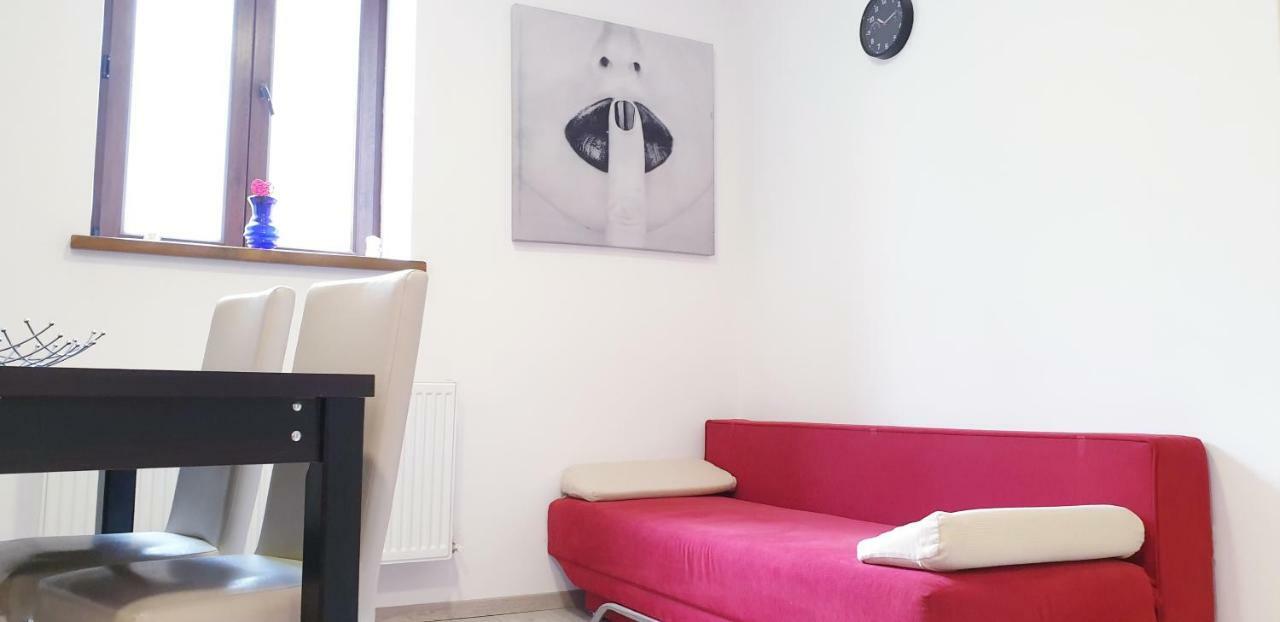 Costy Central Apartament ブラショフ エクステリア 写真